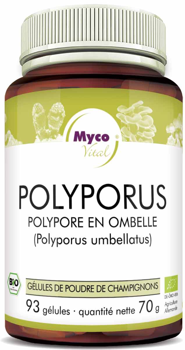 Polyporus Capsules de poudre de champignons vitaux bio