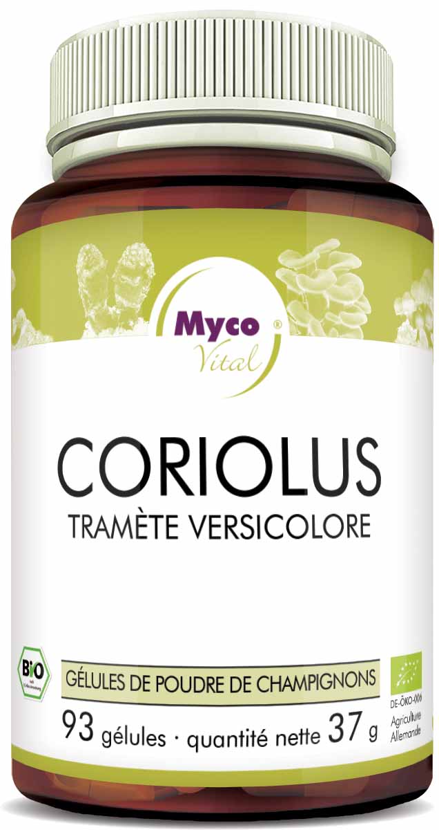 Coriolus Capsules de poudre de champignons bio vitaux