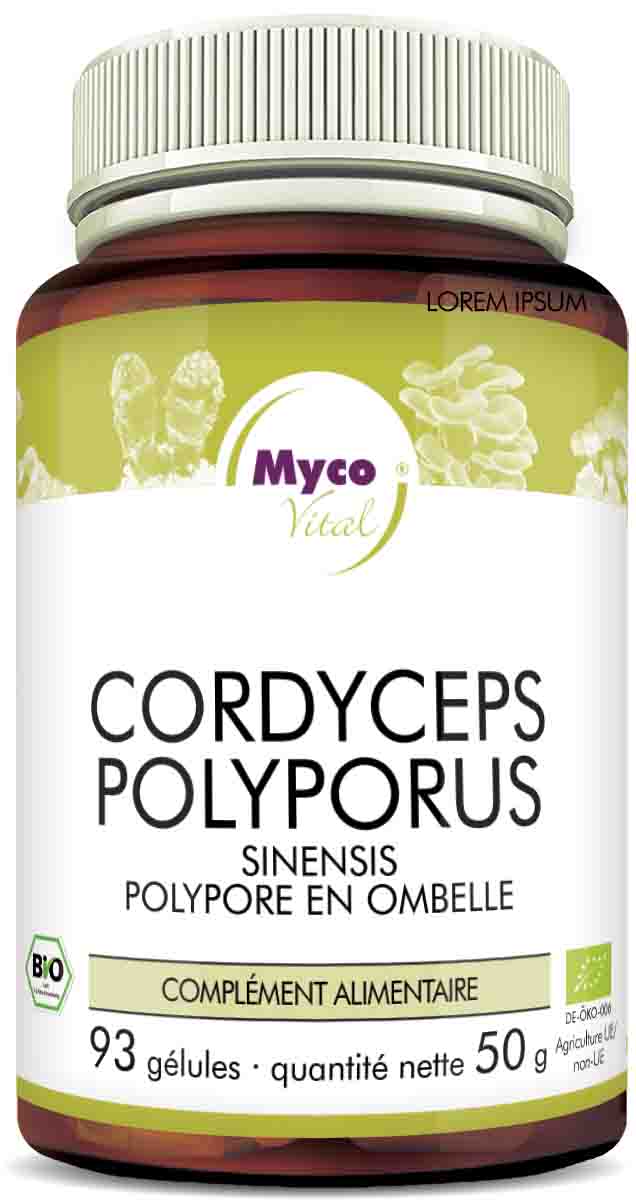 Cordyceps-Polyporus Capsules de poudre de champignons bio (mélange 346)