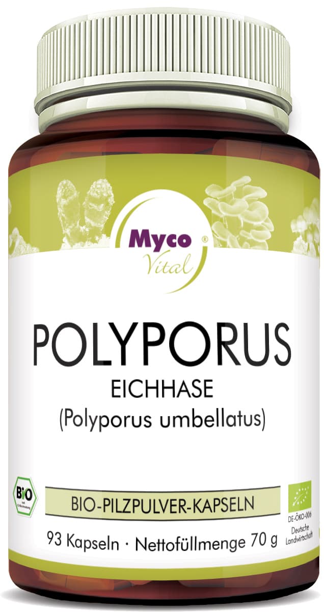 Polyporus Cápsulas de polvo de hongo vital ecológico