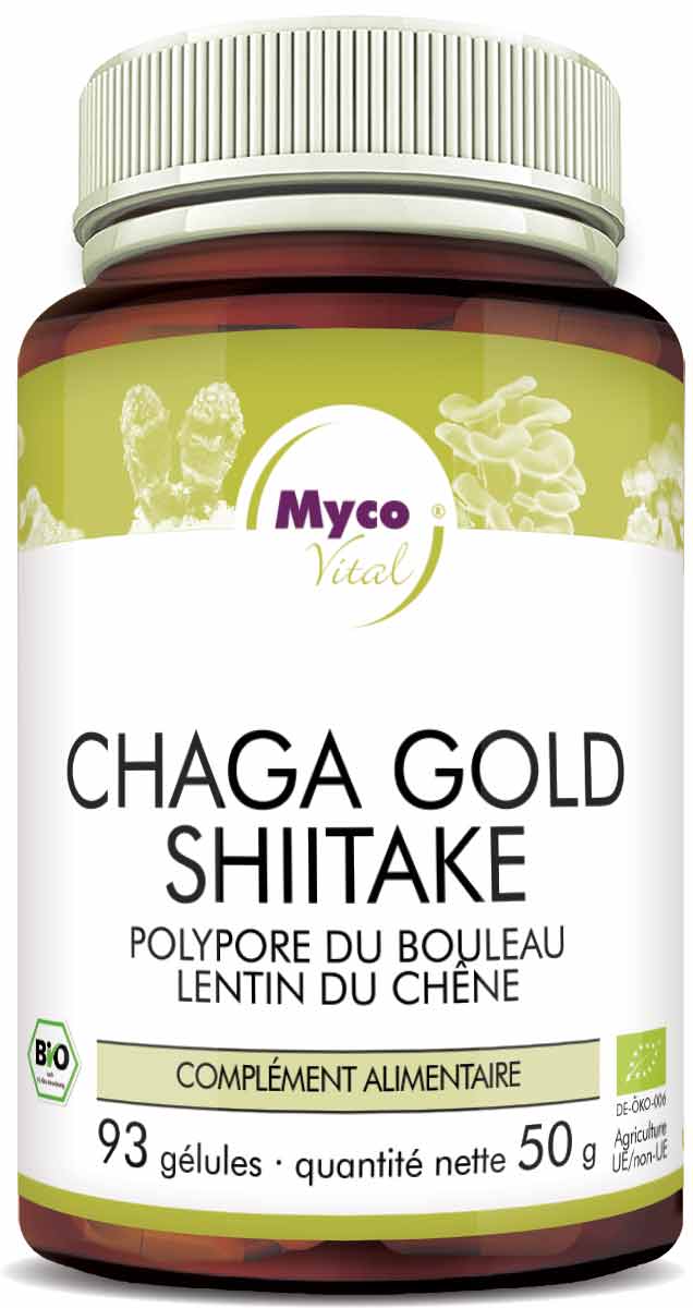 Chaga gold-Shiitake Capsules de poudre de champignons biologiques (mélange 357)